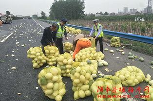 眉山网红吃瓜群众,揭秘网络热点背后的故事
