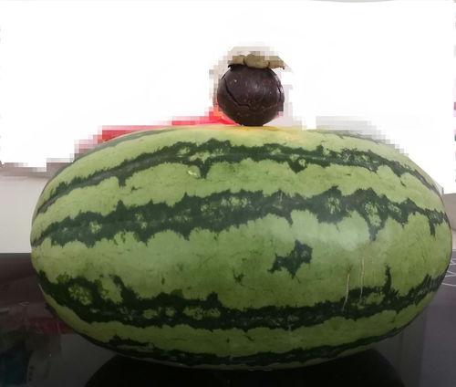 大家吃瓜网,大家吃瓜网带你领略明星幕后故事