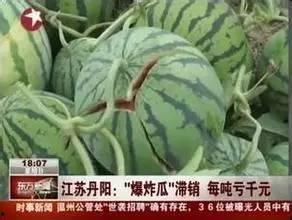 张掖网红吃瓜事件真相,真相与反思